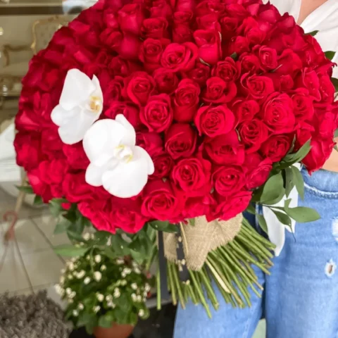 Buquê Magnitude com 100 rosas vermelhas - Buquê Magnitude com 100 rosas vermelhas