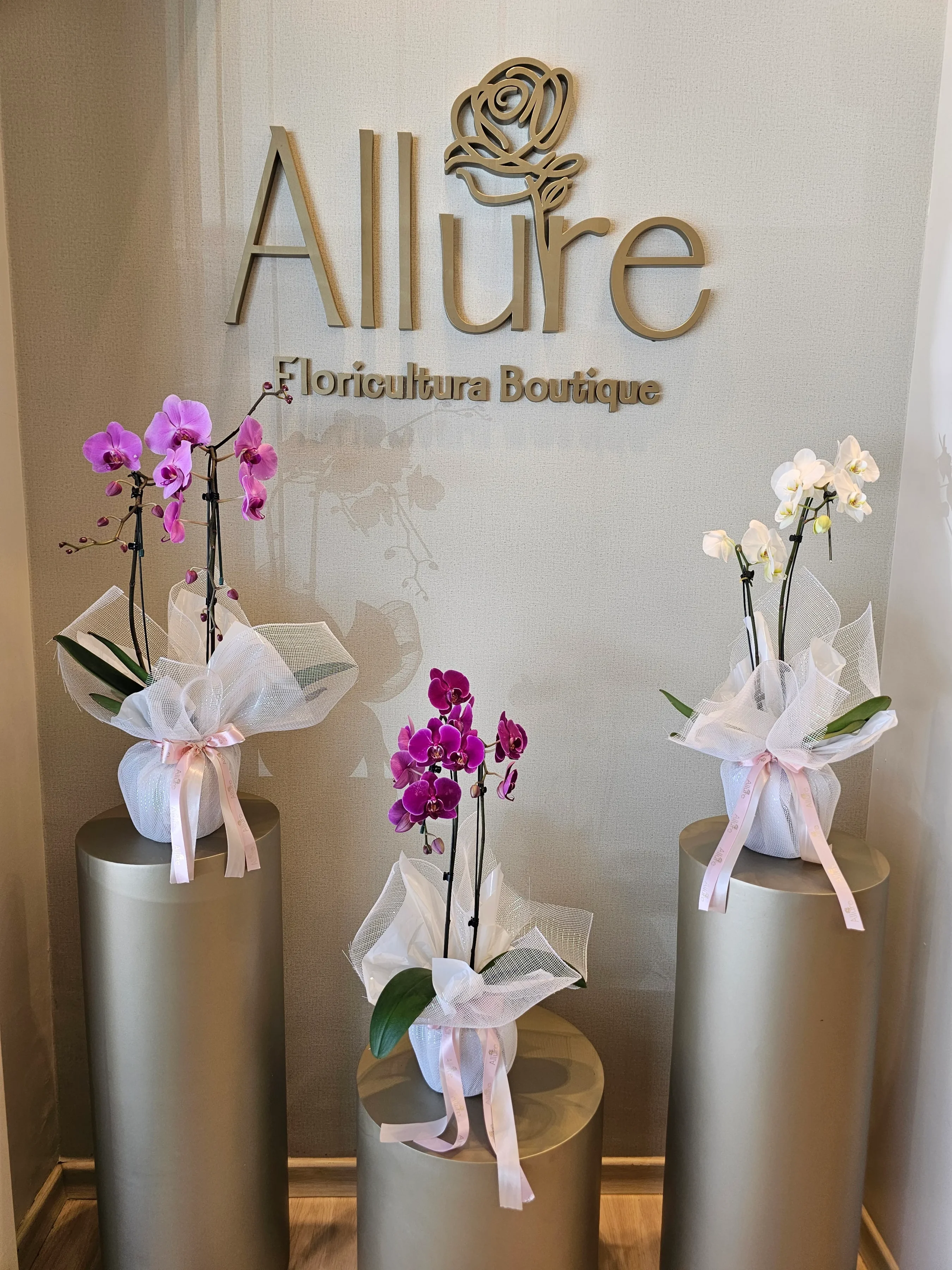 Orquídea Allure grande - Orquídea Allure grande em composição clássica e atemporal, envolta em acabamento sofistica