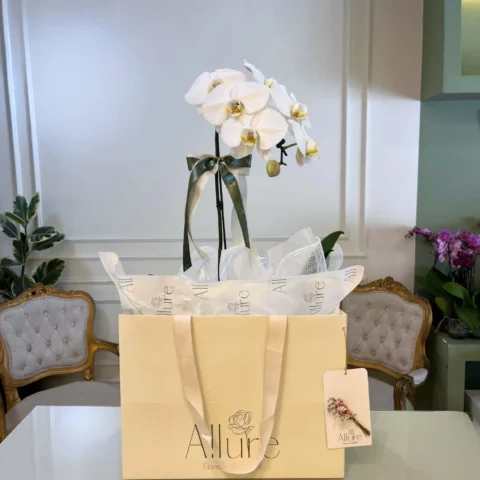 Vista alternativa do Orquídea Allure grande - Allure Boutique Goiânia