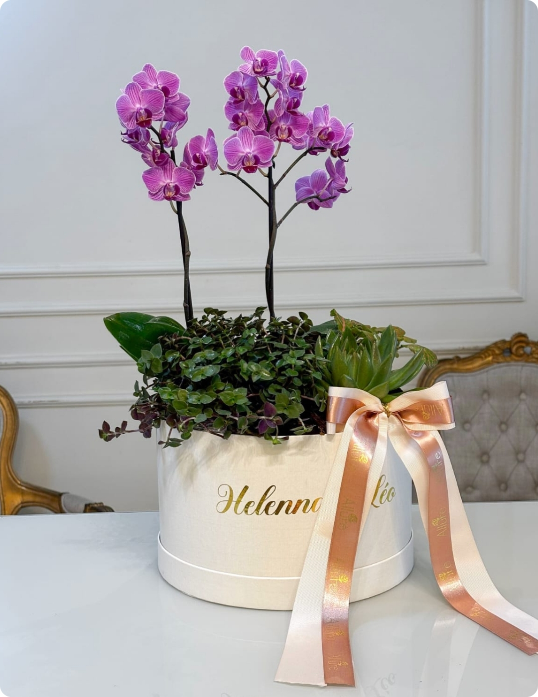 Orquídea Garden Harmonia - Composição com orquídea Allure média, folhagens e plantas ornamentais em box personalizada