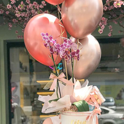 Orquídea em box cartonada e balões flutuando - Orquídea de uma haste em caixa cartonada personalizada, biscoito Bardan, 12...