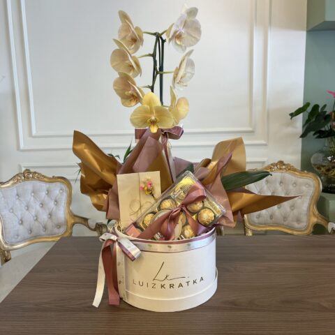 Orquídea Allure grande com chocolate em caixa - Orquídea Allure grande em caixa cartonada personalizada e caixa acrílica c...