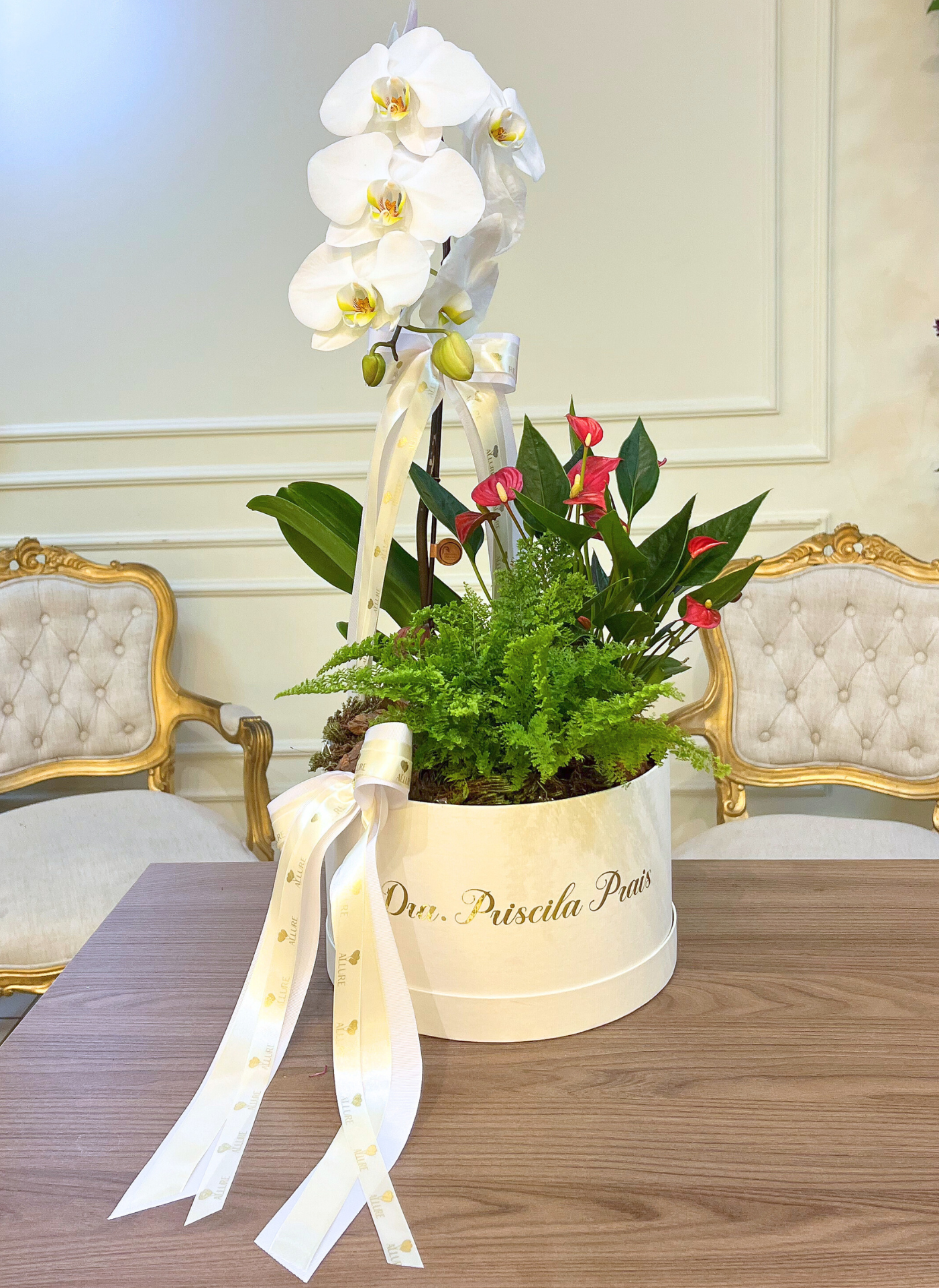 Orquídea Allure em apresentação clean.