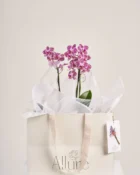 Detalhe do Orquídea Allure média - Allure Floricultura Boutique
