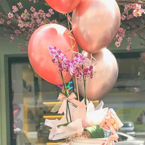 Orquídea Allure média em caixa cartonada grande com Biscoito Bardan Ferrero 12 un. e 4 balões