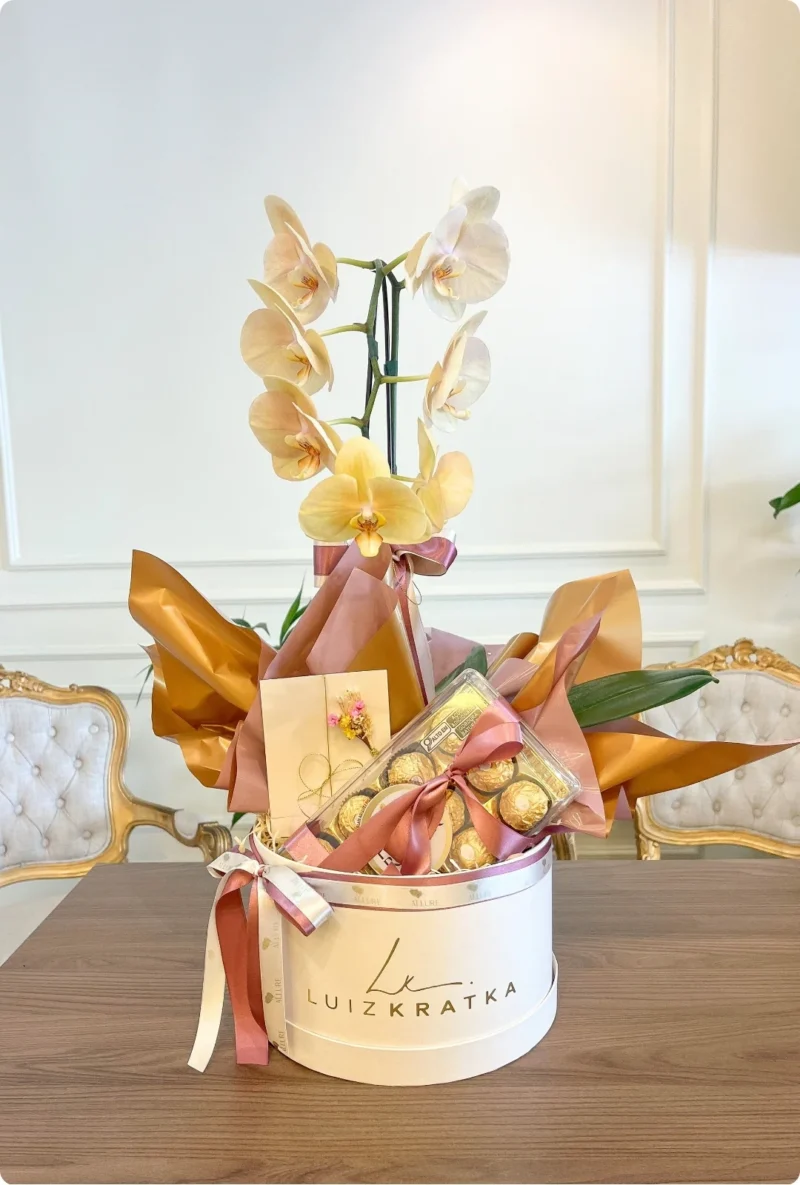 Orquídea grande em caixa cartonada média personalizada e Ferrero Rocher 12 un