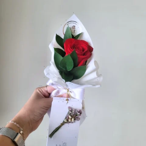 Rosa vermelha única - Rosa vermelha única em papelaria exclusiva Allure